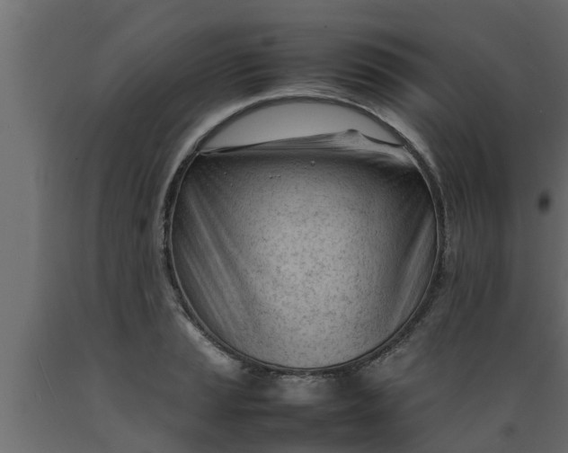 X0000089461037200707061258