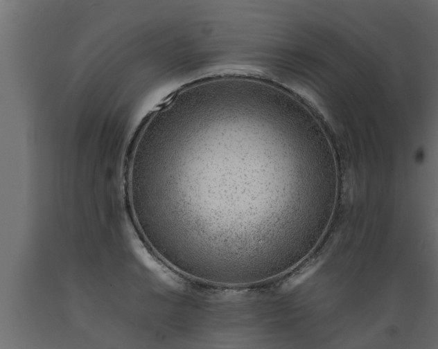 X0000089461038200707061258