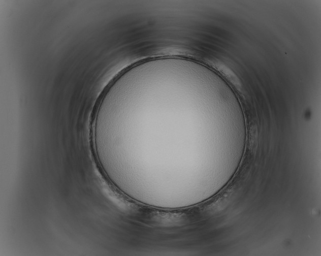 X0000089461039200707061258
