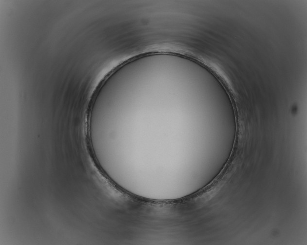 X0000089461040200707061258