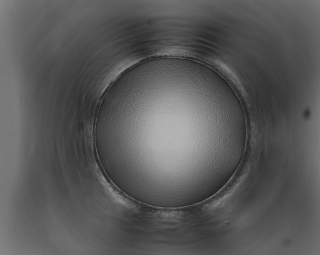 X0000089461041200707061258
