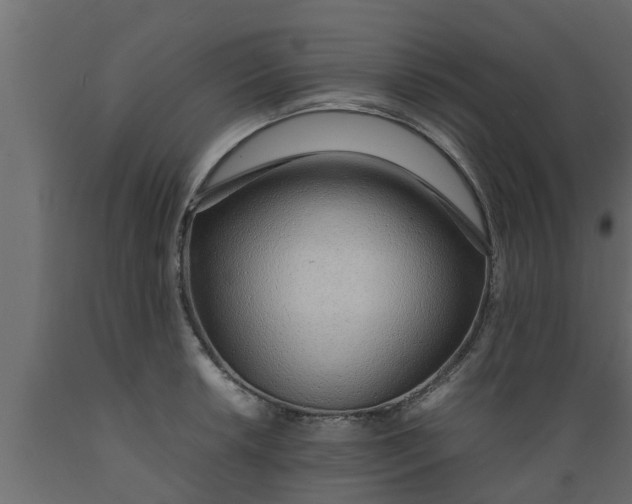 X0000089461042200707061258