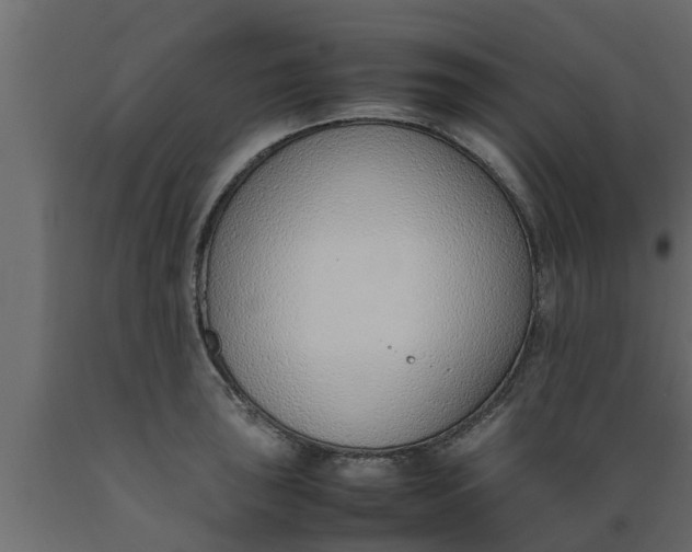 X0000089461043200707061258