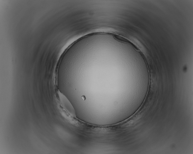 X0000089461044200707061258