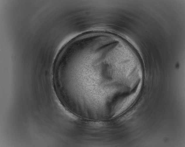 X0000089461045200707061258