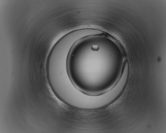 X0000089461046200707061258