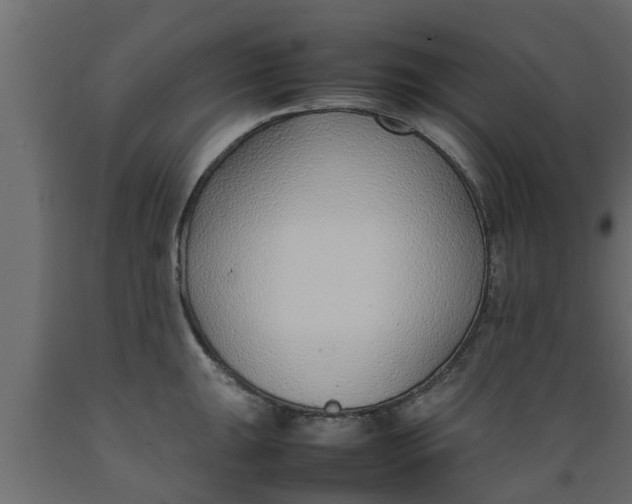 X0000089461047200707061258