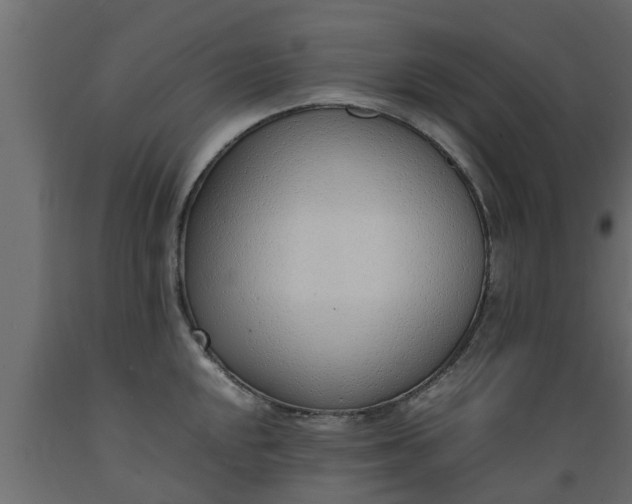 X0000089461048200707061258