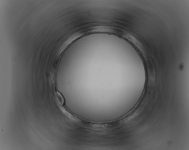 X0000089461049200707061259