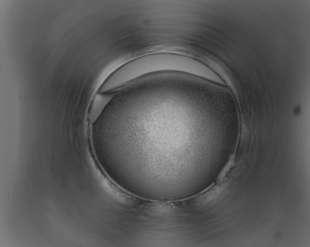X0000089461050200707061259