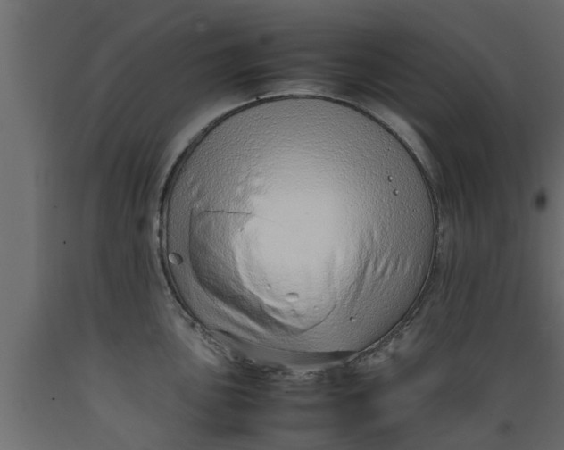 X0000089461051200707061259