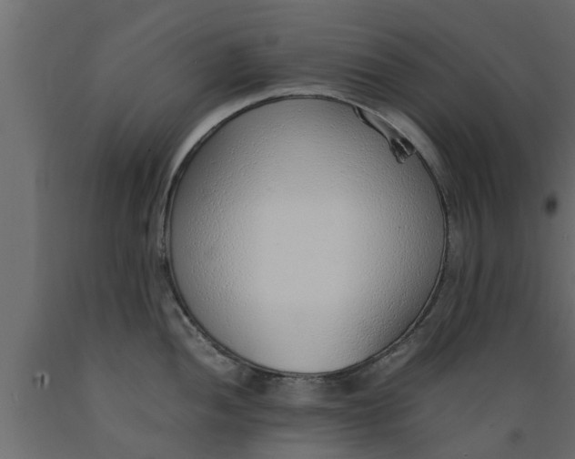 X0000089461052200707061259