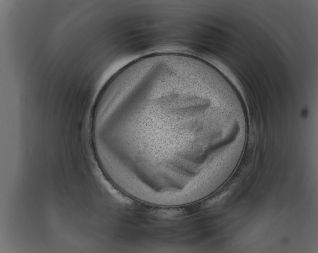 X0000089461053200707061259