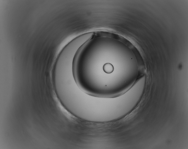 X0000089461054200707061259