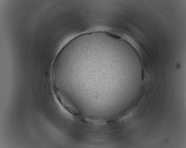 X0000089461055200707061259