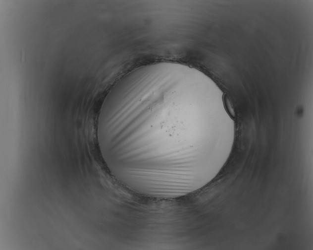 X0000089461058200707061258