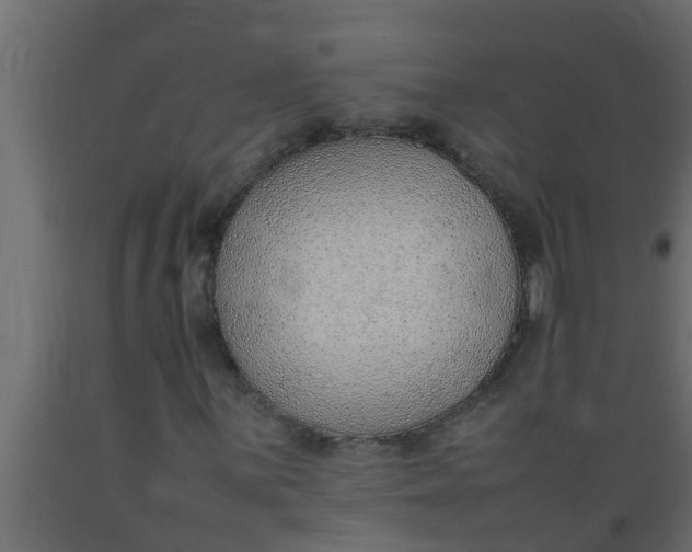 X0000089461059200707061258