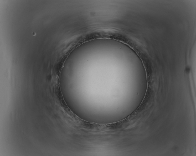 X0000089461061200707061258