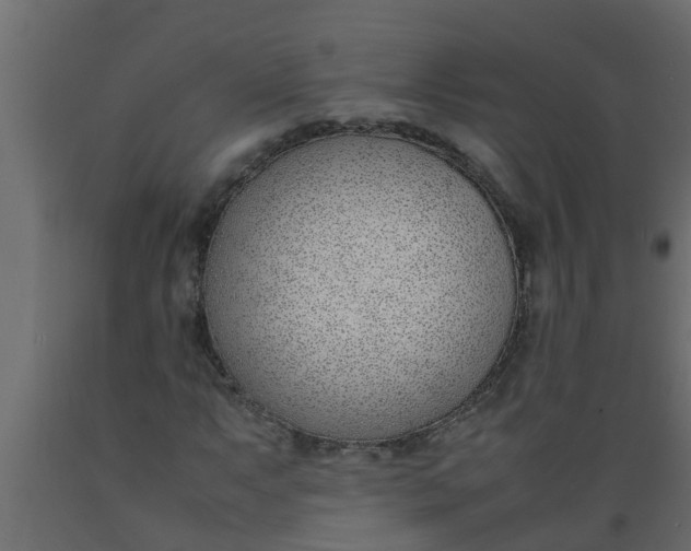 X0000089461063200707061258