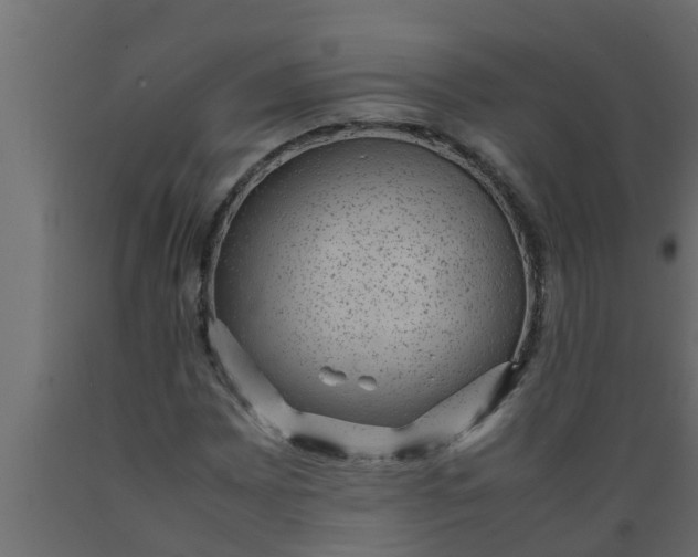 X0000089461065200707061258