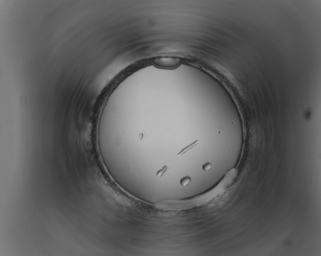 X0000089461066200707061258