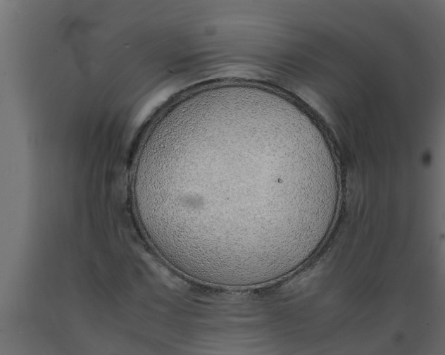 X0000089461067200707061258