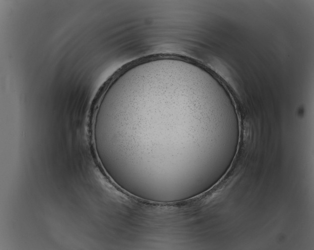 X0000089461068200707061258