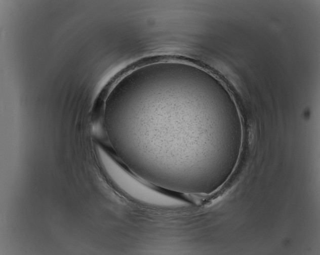 X0000089461069200707061258