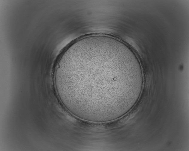 X0000089461071200707061258