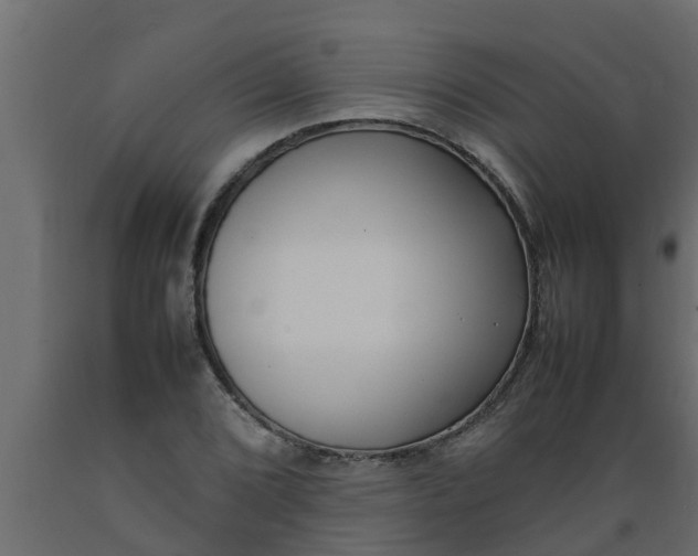 X0000089461072200707061258
