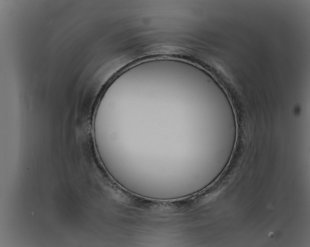 X0000089461073200707061258