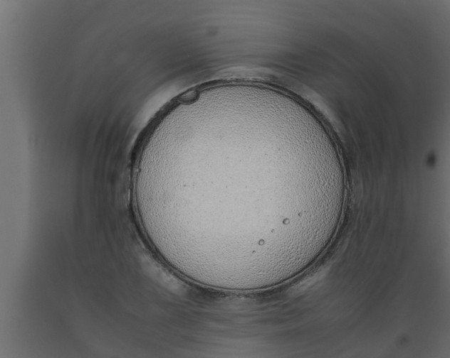 X0000089461075200707061258