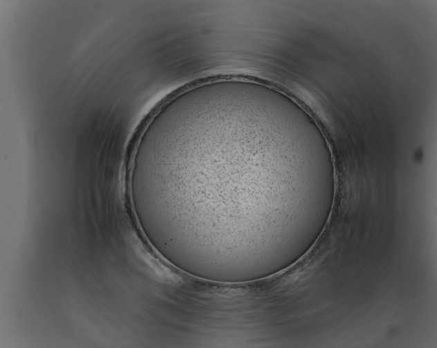 X0000089461076200707061258