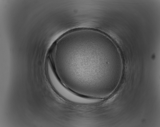 X0000089461077200707061258