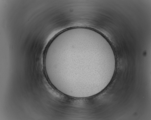 X0000089461078200707061258