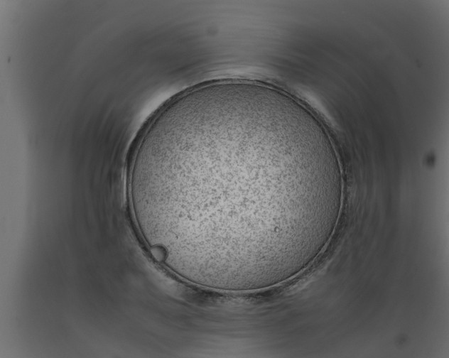 X0000089461079200707061258