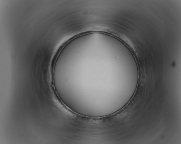 X0000089461080200707061258
