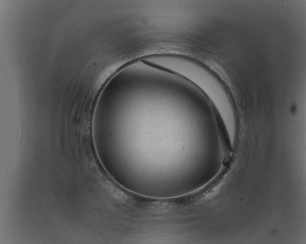 X0000089461081200707061258