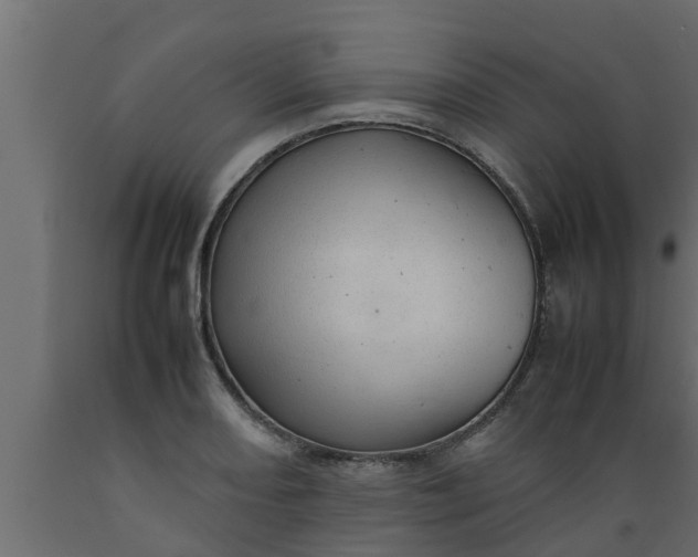 X0000089461082200707061258
