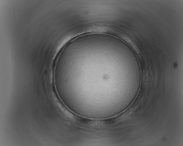 X0000089461083200707061258