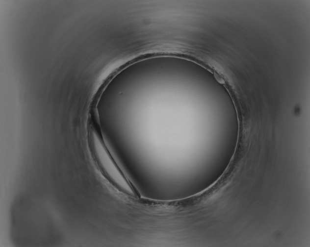 X0000089461085200707061258