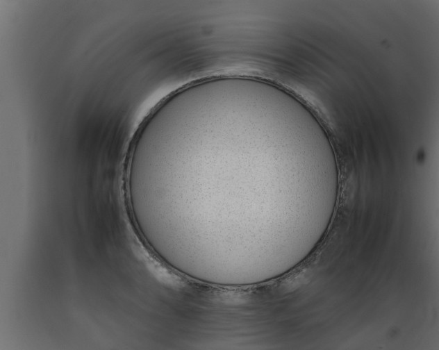 X0000089461086200707061258