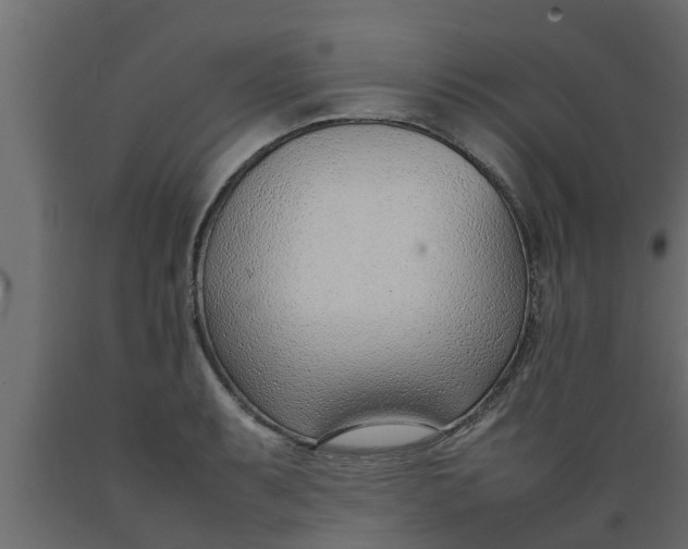 X0000089461087200707061258