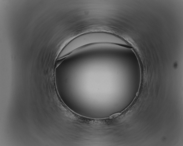 X0000089461089200707061258
