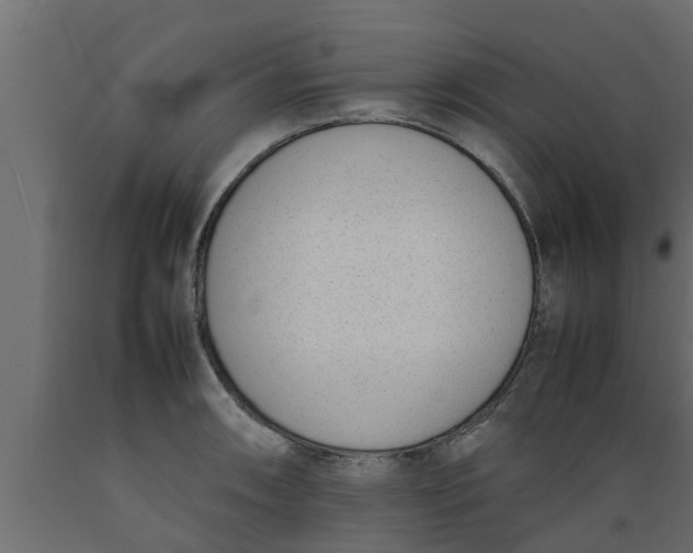 X0000089461090200707061258
