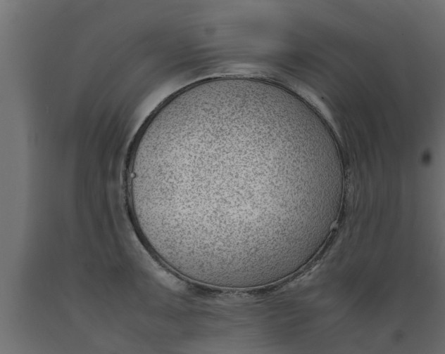 X0000089461091200707061258