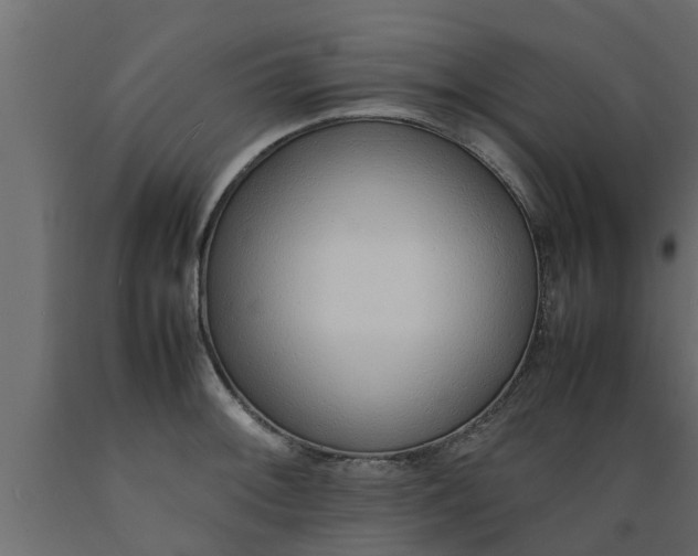 X0000089461092200707061258