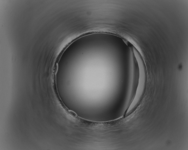X0000089461093200707061258