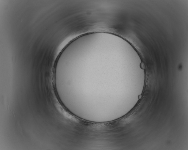 X0000089461094200707061258