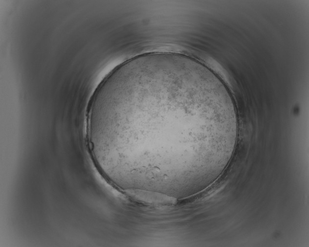 X0000089461095200707061258